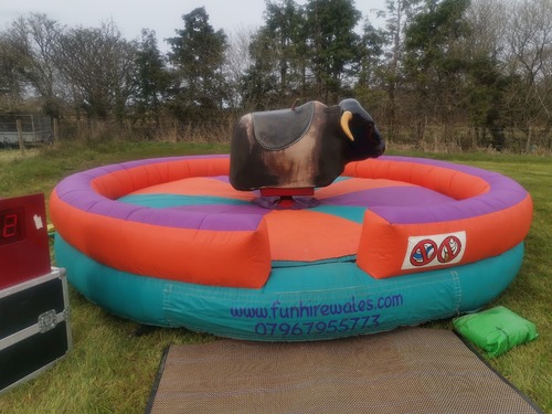 Rodeo Bull Hire Carmarthen